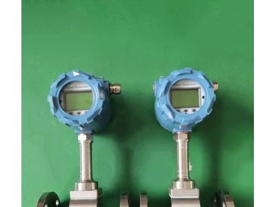 RPF60热式气体流量计图2