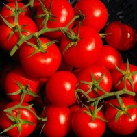 测试内容测试内容测试内容测试内容