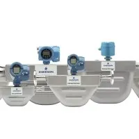 R 系列通用型科里奥利质量流量和密度计