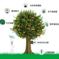 TP-ZWSL系列植物生理生态监测系统