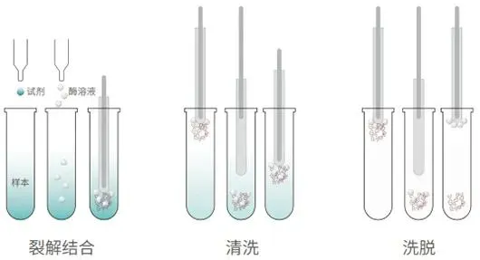 61.webp