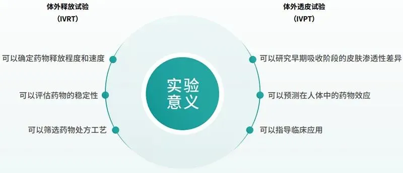 29.webp