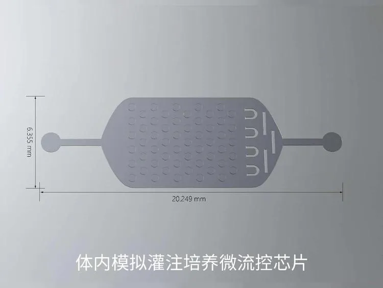 6.webp