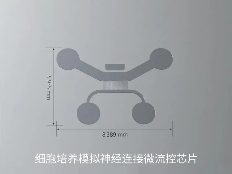 7.webp