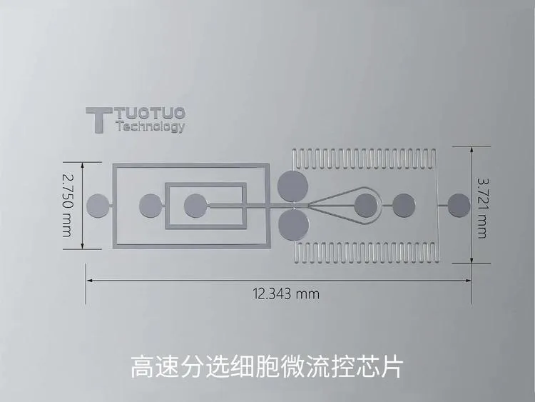 8.webp