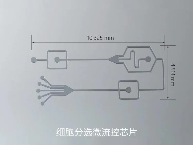 10.webp