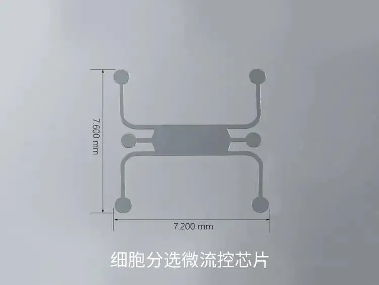 11.webp