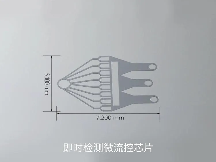 14.webp