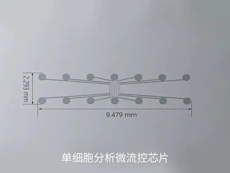 15.webp