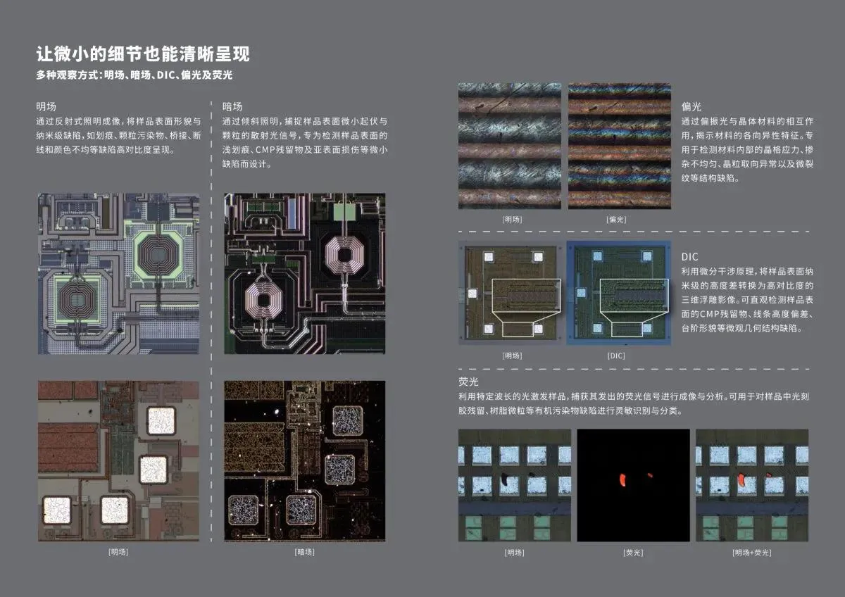 10.webp