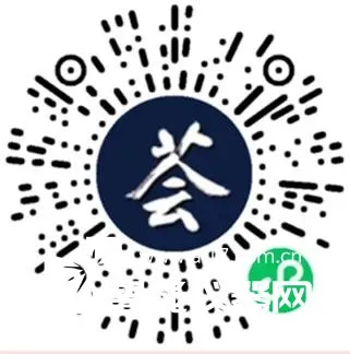4.webp