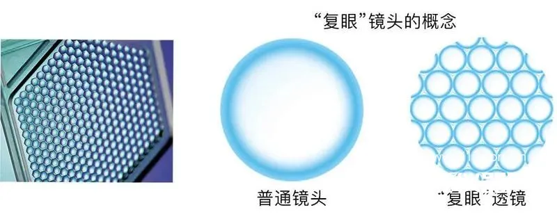 41.webp