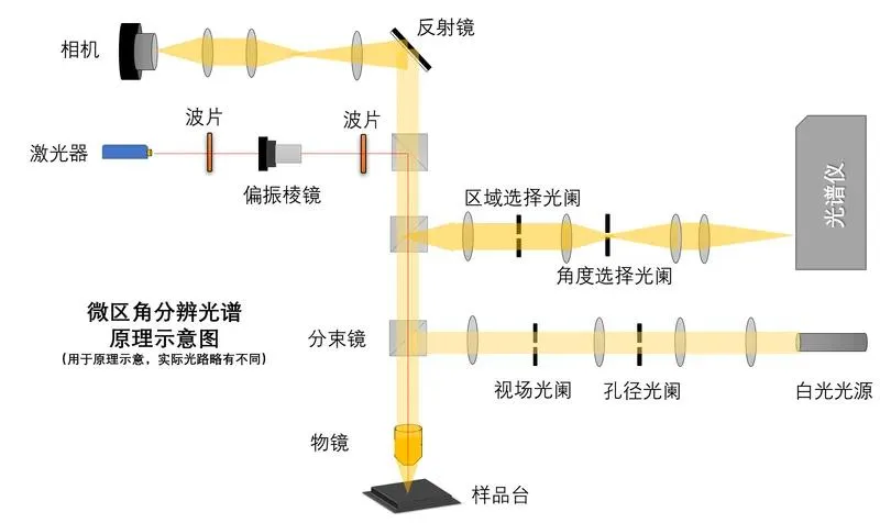 9.webp