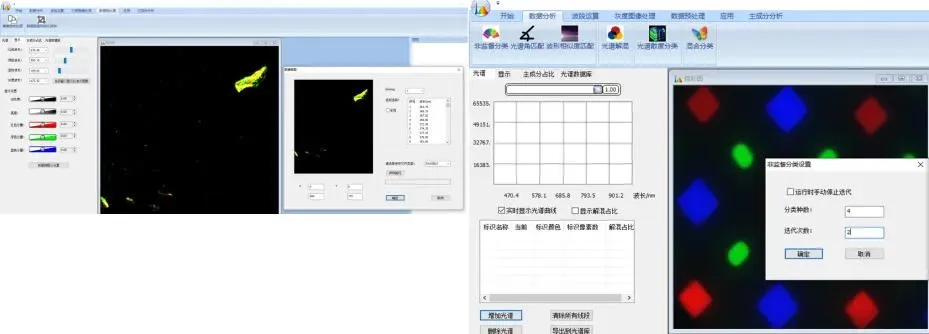 8.webp
