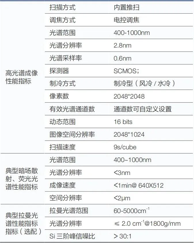 24.webp