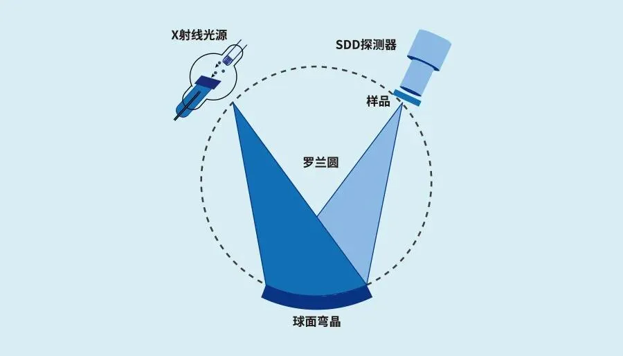 5.webp