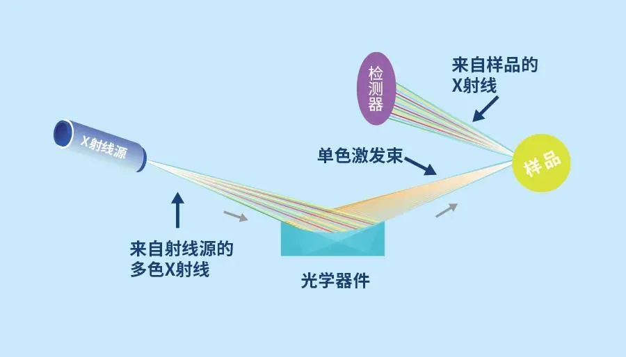 12.webp